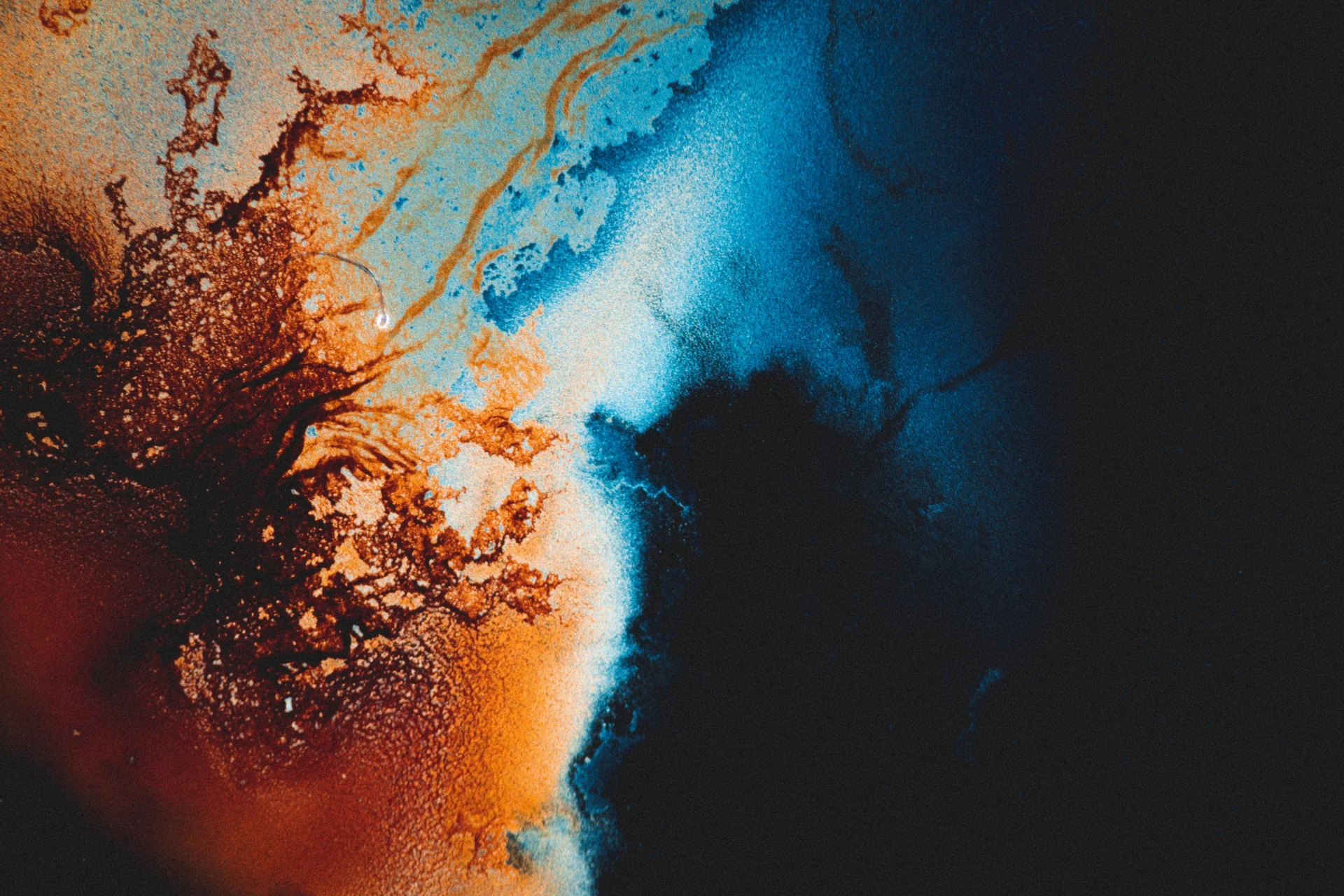 Microscopic image study shown as a change-of-scale projection