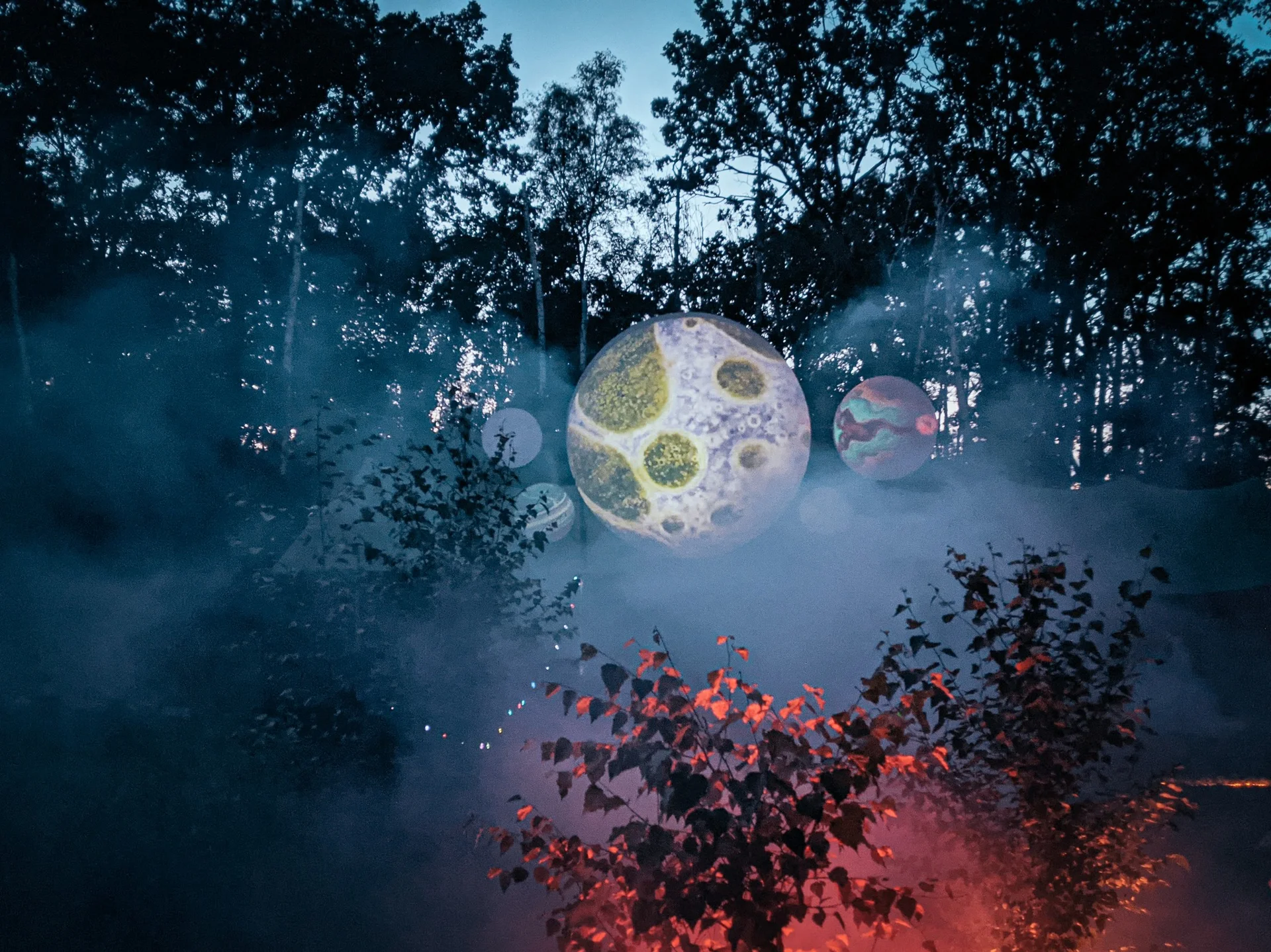 Circular microscopic projections in a forest setting
