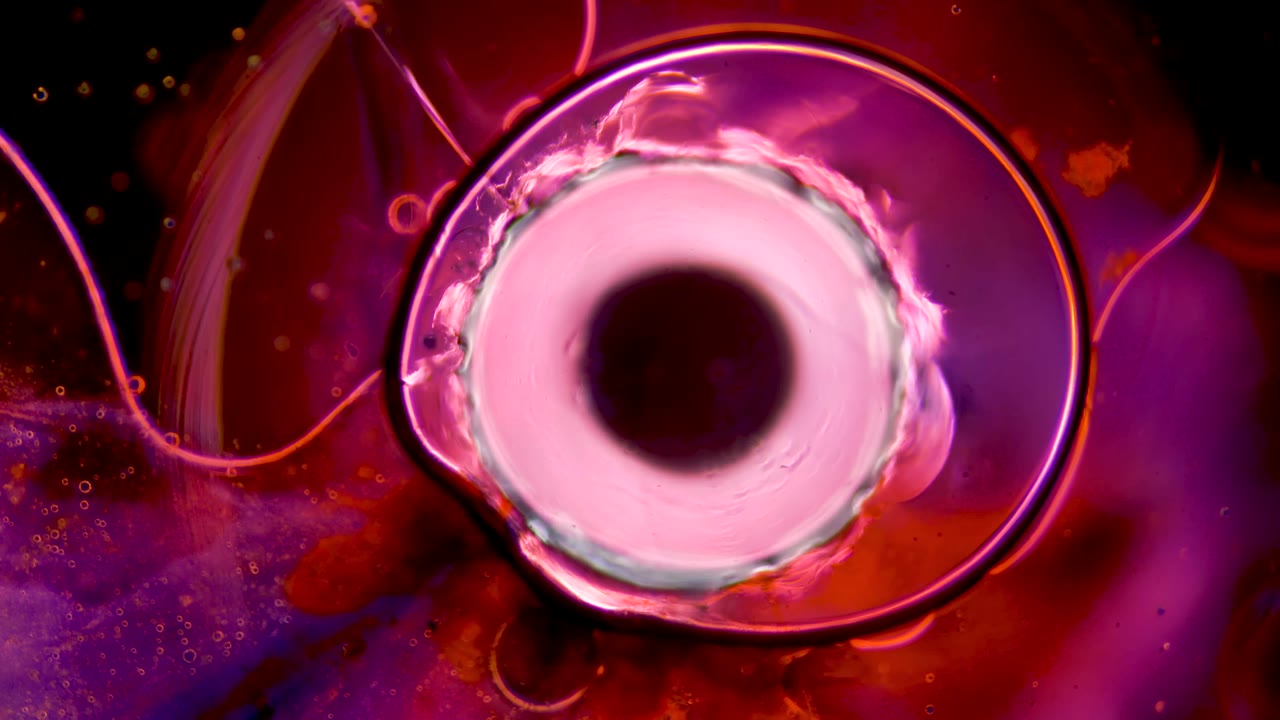A close view of colourful microscopic material from Magnificent Matter’s Perception study.