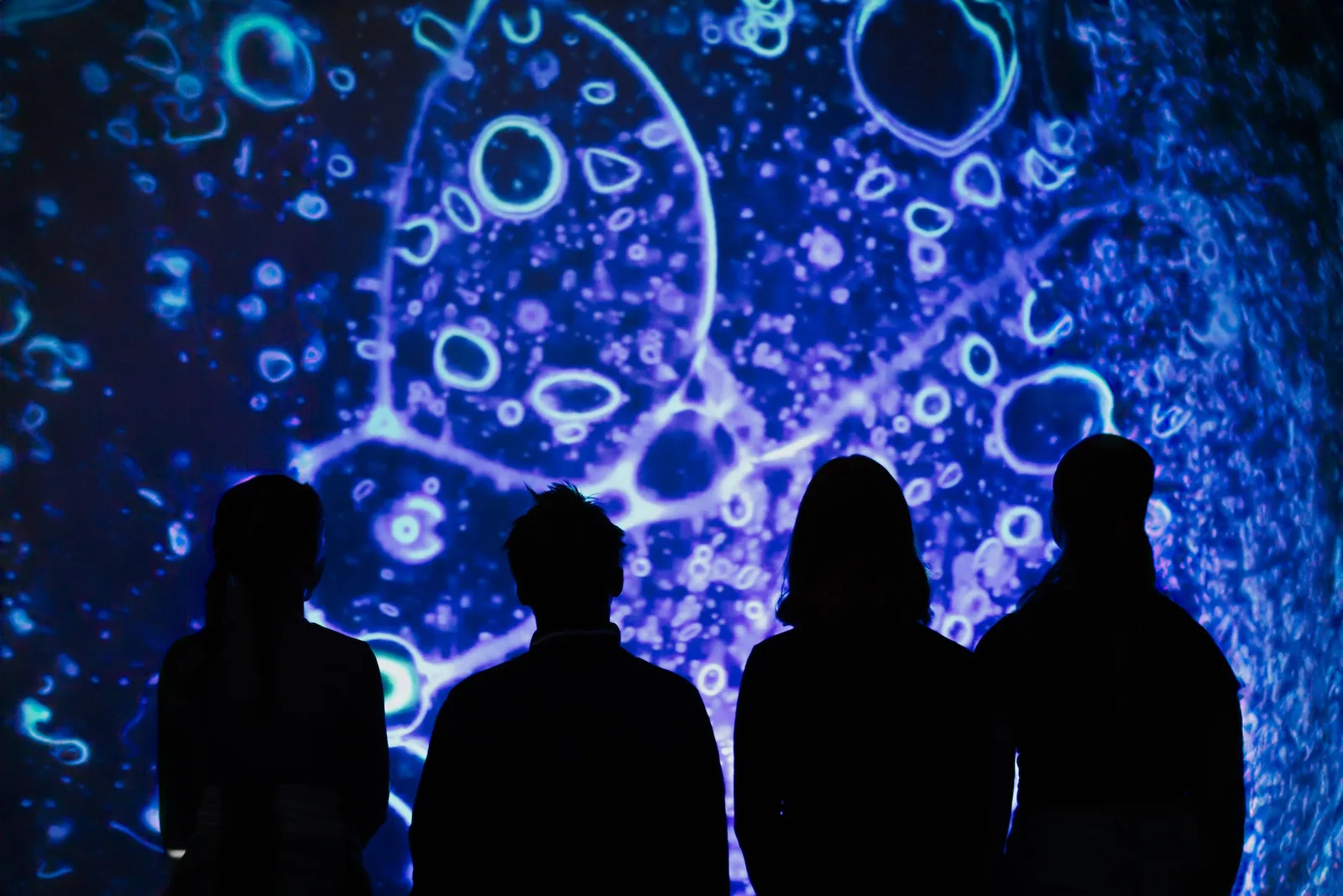 Four silhouetted audience members stand in front of a large blue microscopic projection.